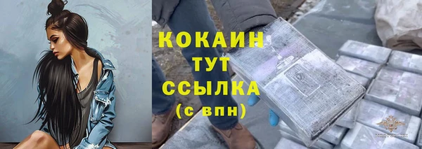 амф Гусиноозёрск
