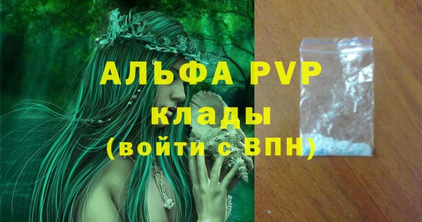 ECSTASY Горняк