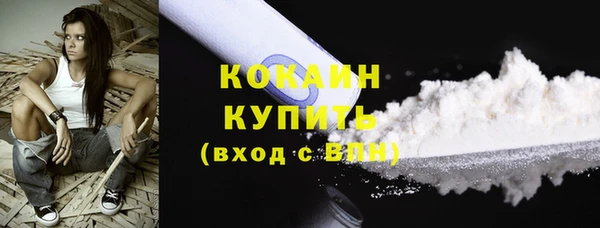 амф Гусиноозёрск