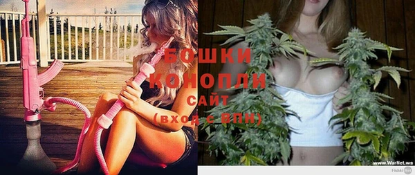 ECSTASY Горняк