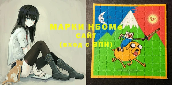 ECSTASY Горняк