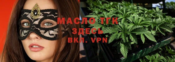 ECSTASY Горняк