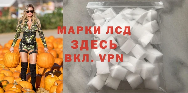 ECSTASY Горняк