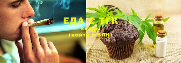ECSTASY Горняк