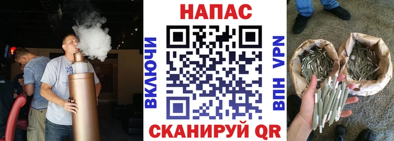 Марихуана сатива  Купить  Плёс 